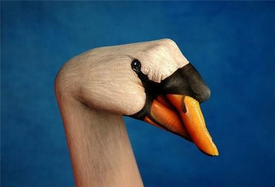 swan_guido_daniele - eh